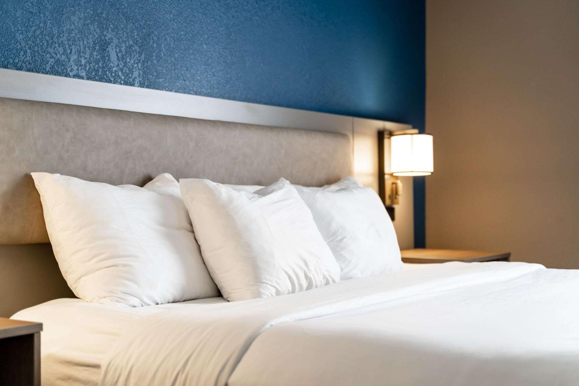 Comfort Suites Columbia Northeast - Fort Jackson Bagian luar foto